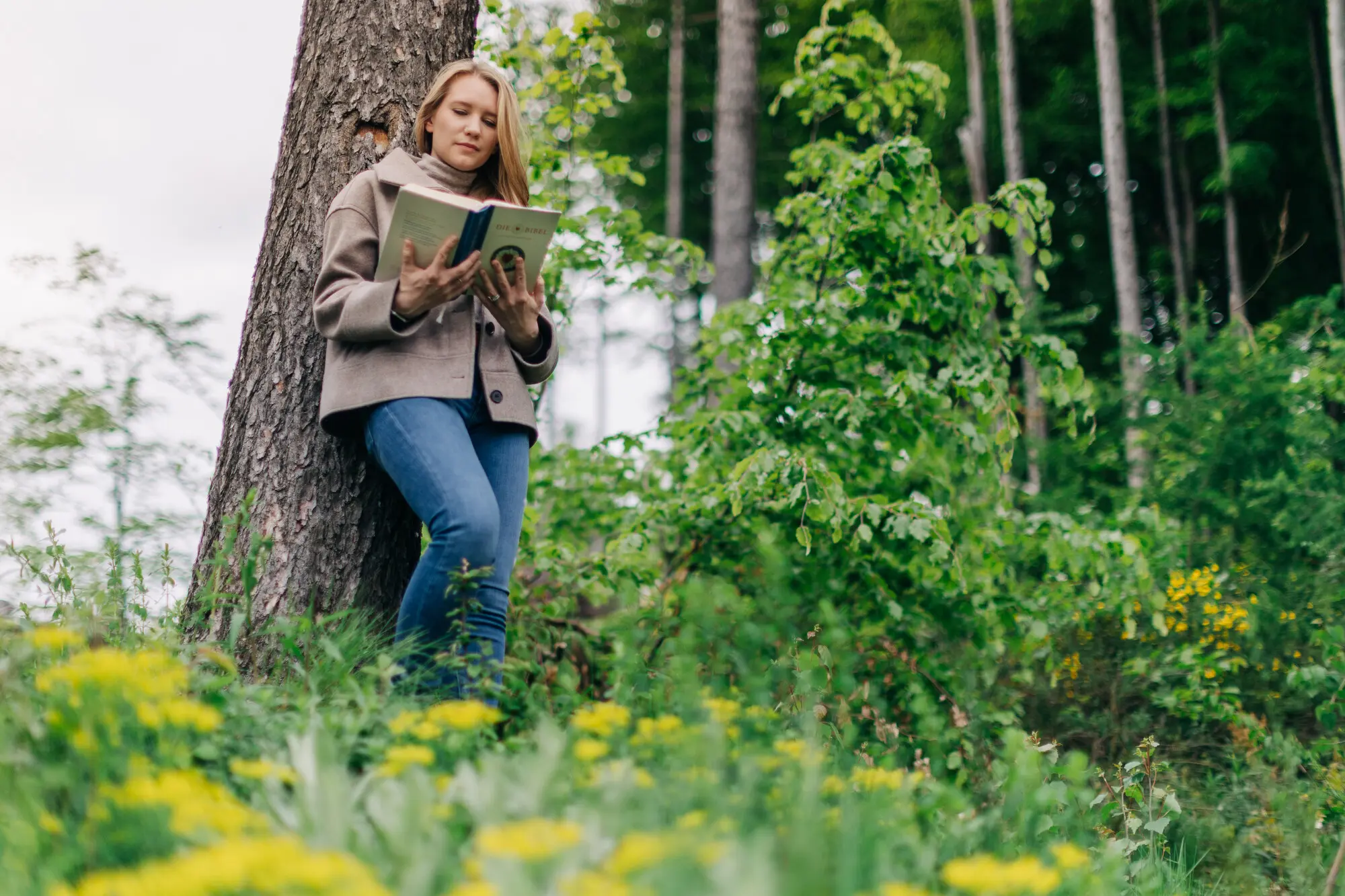 Frau lehnt an einen Baum und liest die Bibel